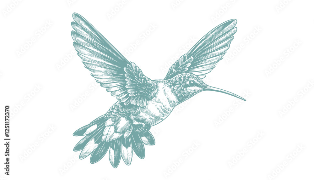 Obraz premium hummingbird vector | bird vector | hummingbird illustration | hummingbird silhouette | hummingbird tattoo | hummingbird engraving | hummingbird drawing