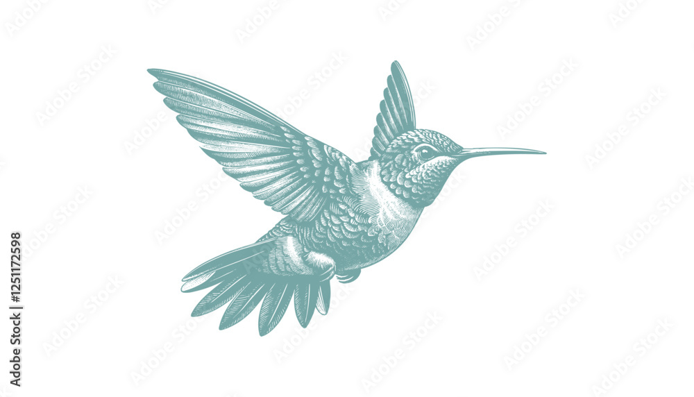 Obraz premium hummingbird vector | bird vector | hummingbird illustration | hummingbird silhouette | hummingbird tattoo | hummingbird engraving | hummingbird drawing