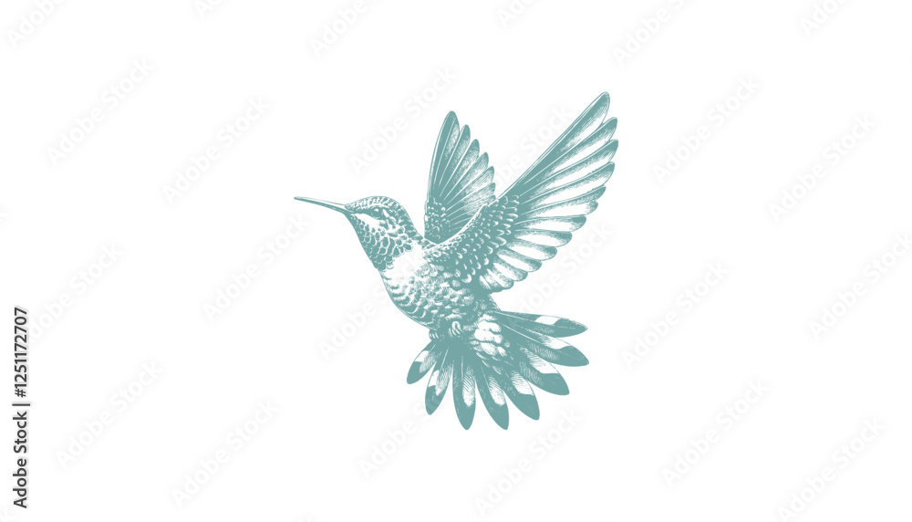 Obraz premium hummingbird vector | bird vector | hummingbird illustration | hummingbird silhouette | hummingbird tattoo | hummingbird engraving | hummingbird drawing