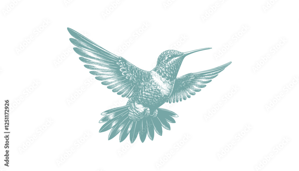 Obraz premium hummingbird vector | bird vector | hummingbird illustration | hummingbird silhouette | hummingbird tattoo | hummingbird engraving | hummingbird drawing