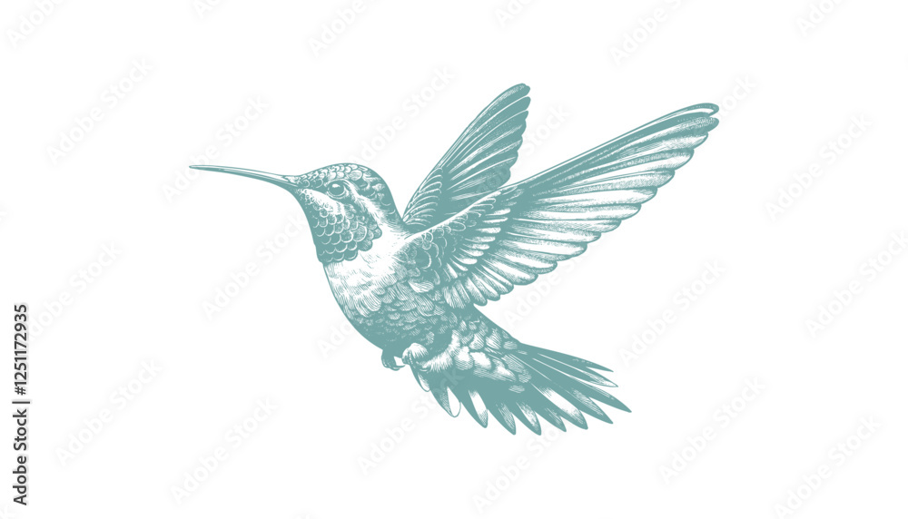 Obraz premium hummingbird vector | bird vector | hummingbird illustration | hummingbird silhouette | hummingbird tattoo | hummingbird engraving | hummingbird drawing