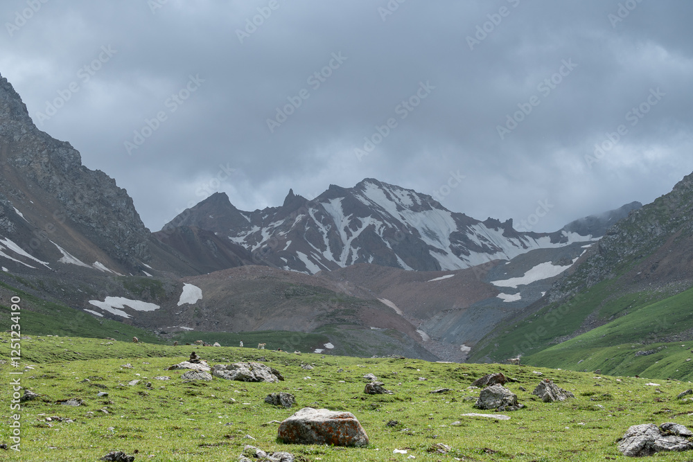 Fototapeta premium Bortala Sailimu Lake Scenic Area, Xinjiang Uygur Autonomous Region, China