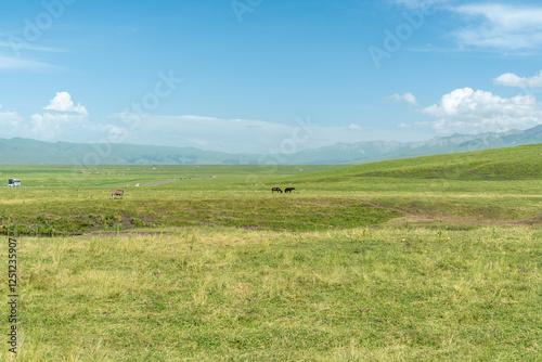 Bortala Sailimu Lake Scenic Area, Xinjiang Uygur Autonomous Region, China photo