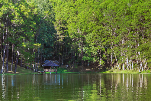 Beautiful destination nature lake and forest of Pang Oung lake and pine forest in Mae Hong Son, Thailand. Nature landscape. Environmental friendly outdoor activity and camping surrounded by valley. photo