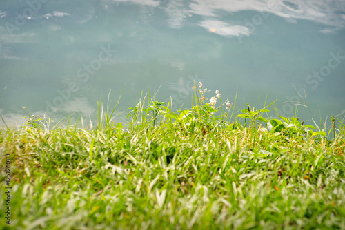 Water surface with ripples and sunlight reflections