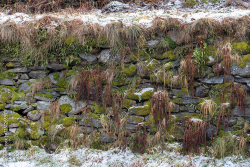 Muretto con muschio verde e neve
