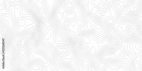 White topography topology vector white background fresh contour map texture. white seamless pattern Abstract background with a wave Topography and geography map grid abstract backdrop.
