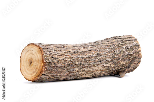 Willow log isolated over white background