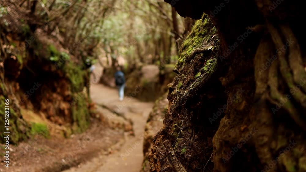 hiking in the anaga mountain range on tenerife island 4k 25fps video hiking in the anaga mountain range on tenerife island 4k 25fps video