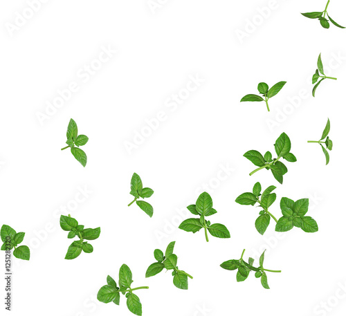 Flying Basil Leaves