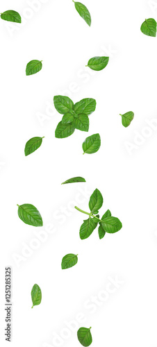 Floating Basil Leaves