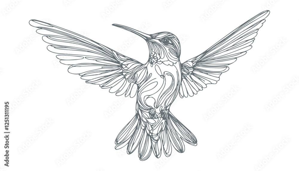 Obraz premium hummingbird vector | bird vector | hummingbird illustration | hummingbird silhouette | hummingbird tattoo | hummingbird engraving | hummingbird drawing