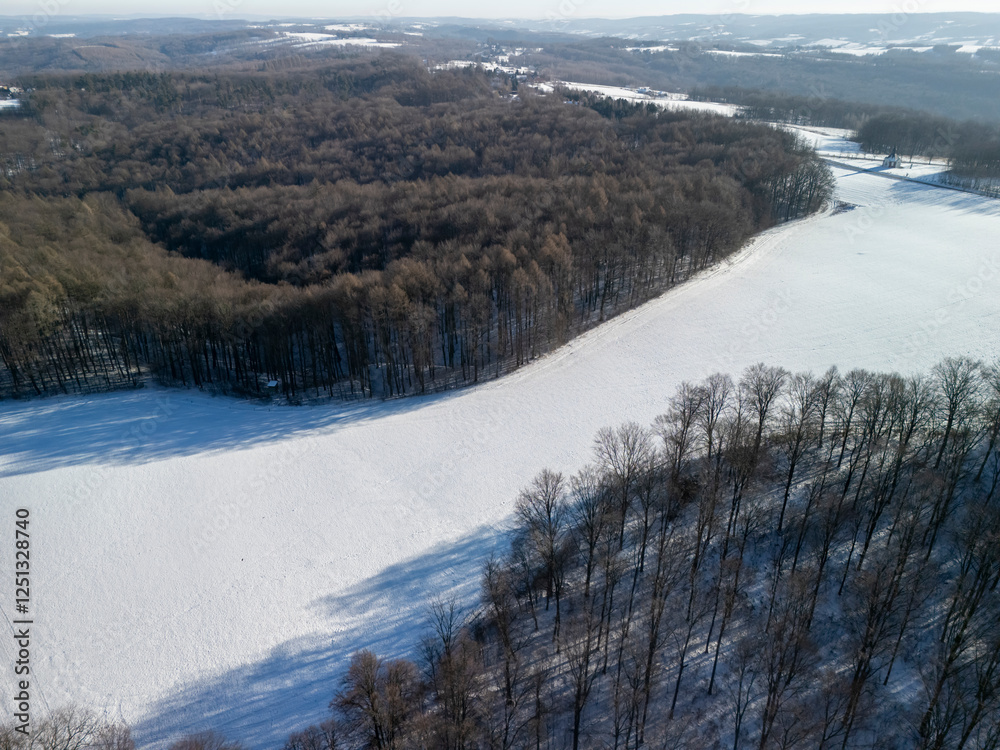 Aerial view of a snow-covered field bordering a forest, showcasing tranquil winter landscape depicting beauty and serenity. Perfect for nature-themed projects.