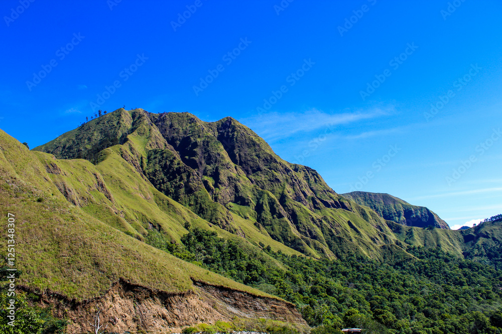 Fototapeta premium Anak Dara Hill, Lombok Indonesia is covered in green grass and trees