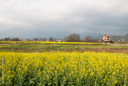 landcape of countryside in china photo