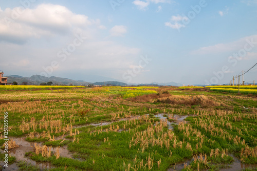 landcape of countryside in china photo