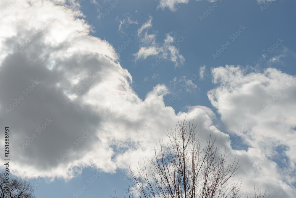 winter sky with clouds and bare tree tips