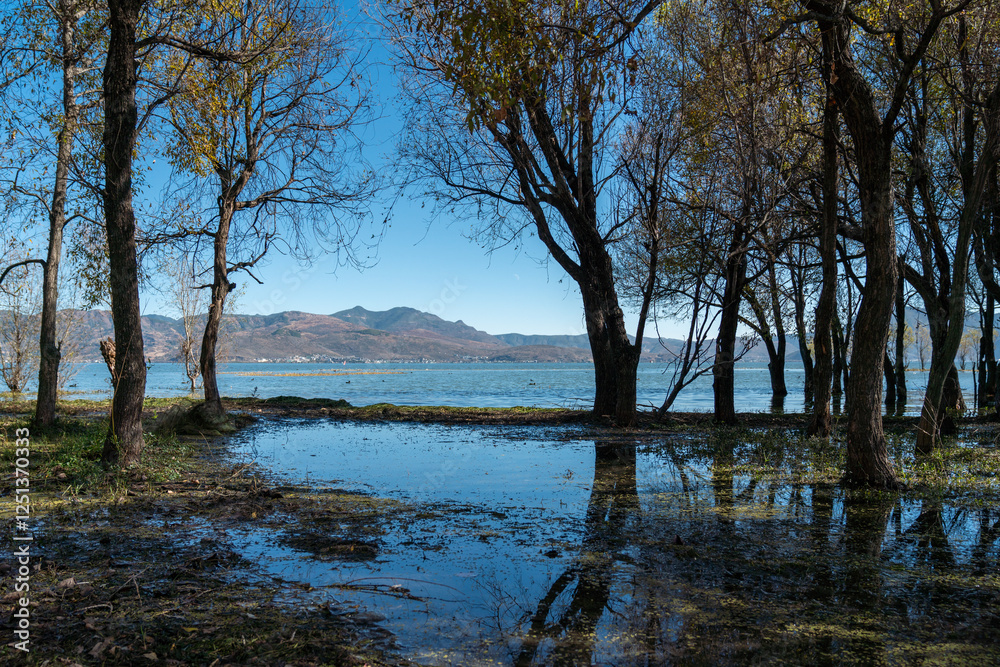 Obraz premium A peaceful lakeside landscape, where the calm water gently laps at the shore, reflecting the surrounding trees. Some of the trees are entering winter, with leaves gradually falling off,