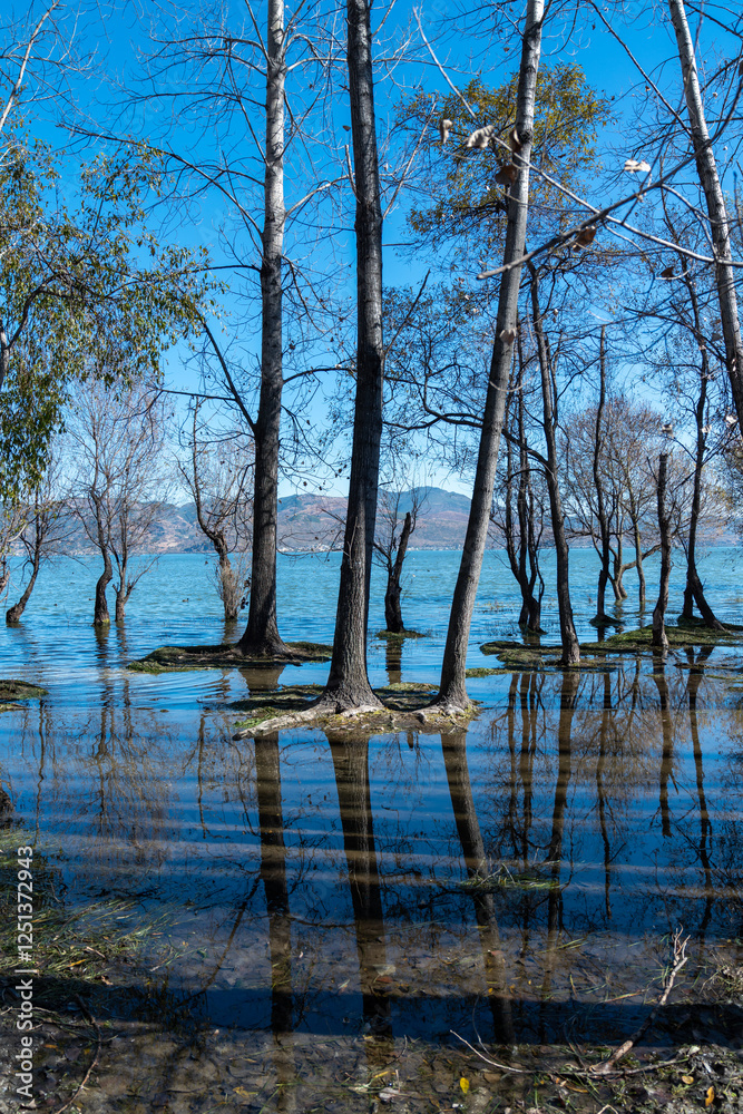 Obraz premium A peaceful lakeside landscape, where the calm water gently laps at the shore, reflecting the surrounding trees. Some of the trees are entering winter, with leaves gradually falling off,