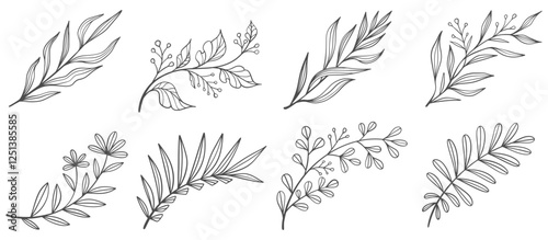 Set of branch with leaves line art vector illustration