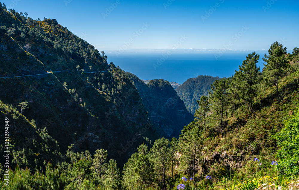 Scenic panoramic view from Miradouro Eira do Serrao on a summer morning, Madeira island, Portugal. Scenic panoramic view from Miradouro Eira do Serrao on a summer morning, Madeira island, Portugal.