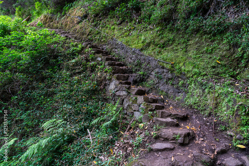 Scenic panoramic view along the Vereda do Larano hike, Madeira island, Portugal. photo