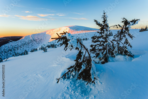 Fototapeta Naklejka Na Ścianę i Meble -  Giant Mountains in winter. Descent into the Krkonoše Mine at sunrise. Snow-covered trees on the mountains. Sunrise in the mountains