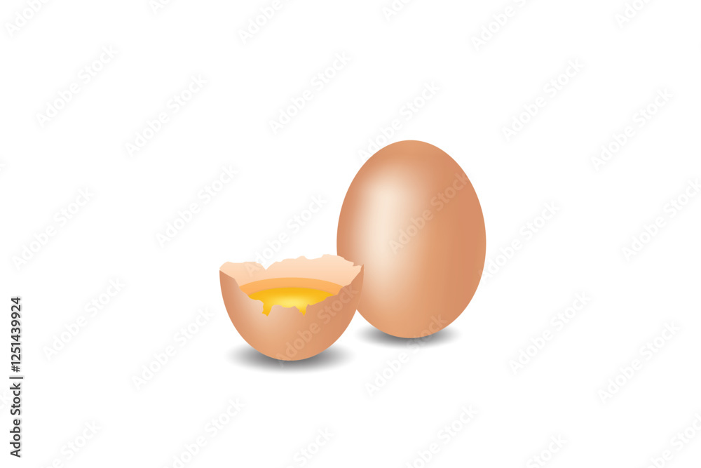 Realistic egg vector on white background. chicken egg, egg farm, eggs vector.