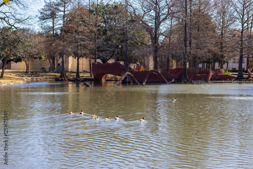 Leonhardt Lagoon with ducks swimming across the water, lush green trees, plants and grass at Fair Park in Dallas in Dallas Texas USA photo