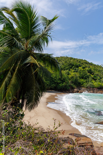 Anse major, Mahe, Seychelles, Africa photo