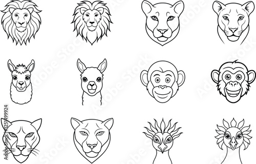 African Lion, Lioness, Llama, Monkey, Cougar Head Illustrations