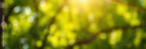 Bright sunlight filtering through green leaves creating a serene atmosphere in a vibrant forest during springtime photo