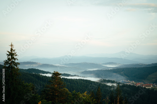mountains in the fog