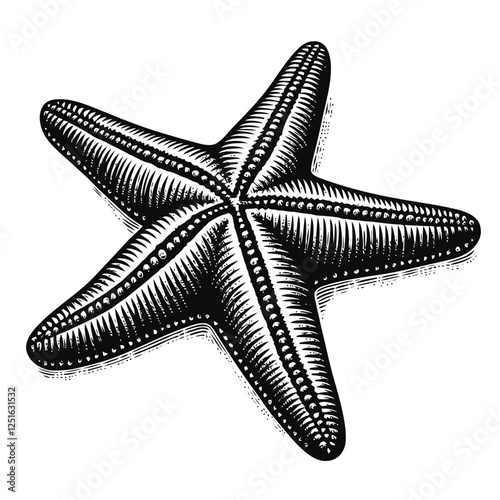 Hand-Drawn Illustration of a Starfish