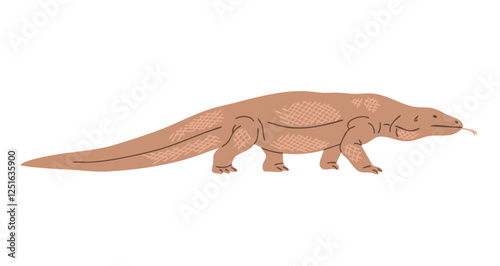 Komodo dragon. Large predatory reptile. Wildlife animal. Nature and fauna. Vector illustration isolated on white background