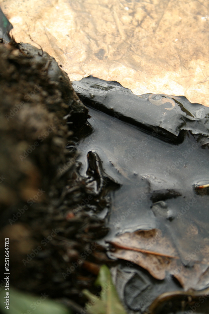 Pollution avec des déchets dans la nature Pollution avec des déchets dans la nature