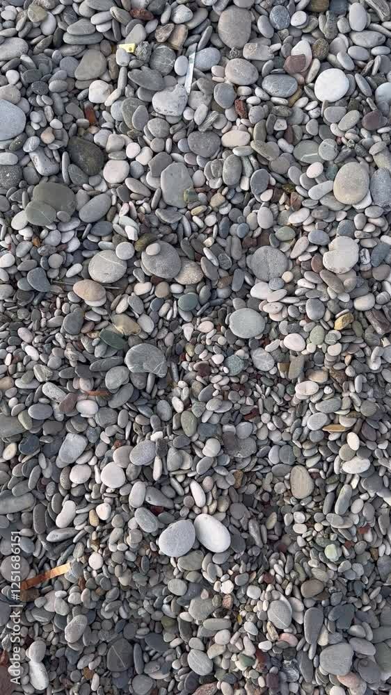 The consequences of celebrating the New Year holidays on the seashore, The consequences of celebrating the New Year holidays on the seashore,
