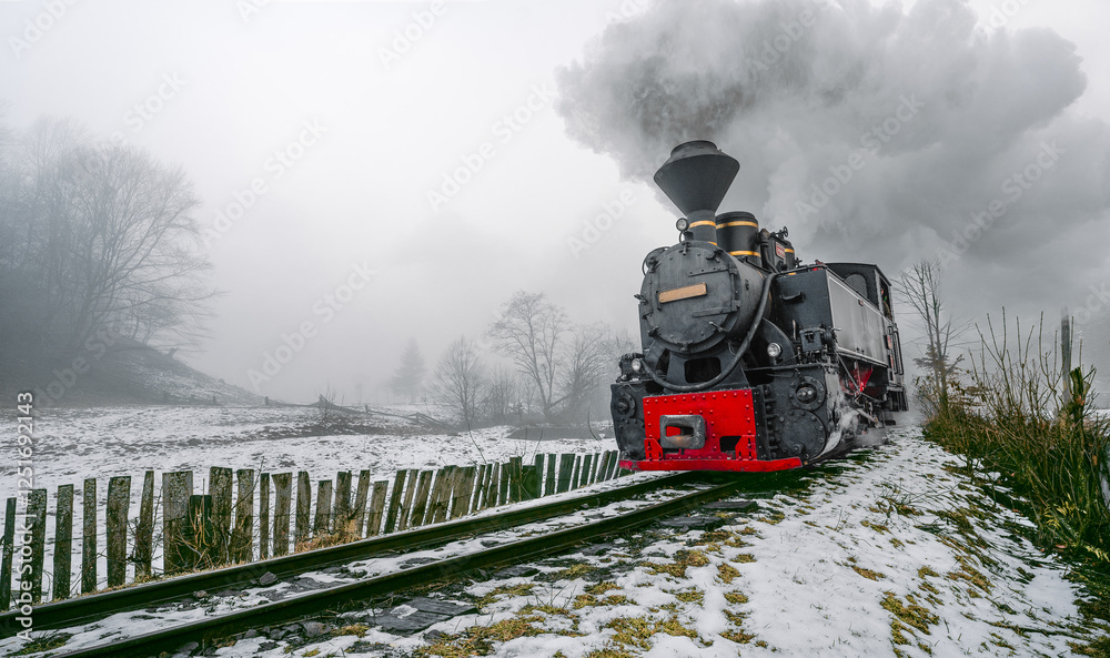 Fototapeta premium Vintage steam train chugs through a snowy landscape, emitting thick smoke. The scene is serene yet dynamic, capturing the essence of winter travel.