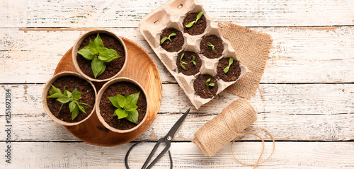 Green seedlings, scissors a...
