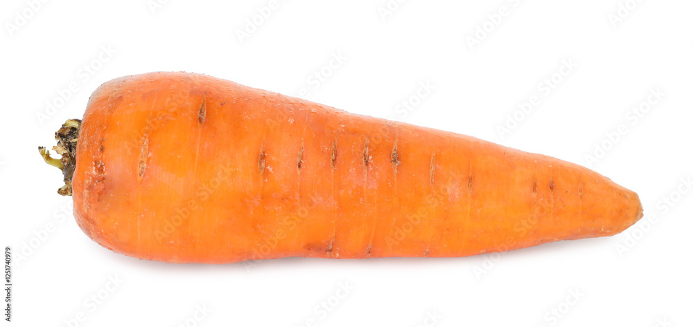 One fresh carrot isolated on white. Root vegetable One fresh carrot isolated on white. Root vegetable