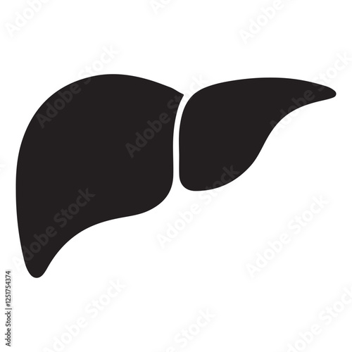 Human Liver Anatomy Vector Silhouette Medical Illustration Design
