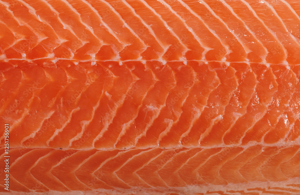 Raw salmon fish fillet, macro. Salmon background