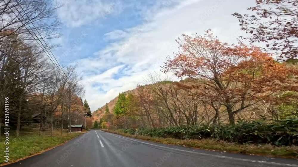 青空の下の紅葉ドライブ風景 青空の下の紅葉ドライブ風景