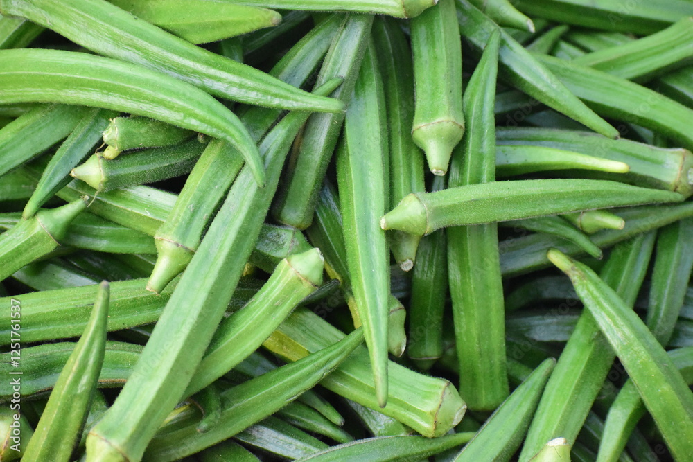 Fresh okra on the market in India.(lady finger) Fresh okra on the market in India.(lady finger)