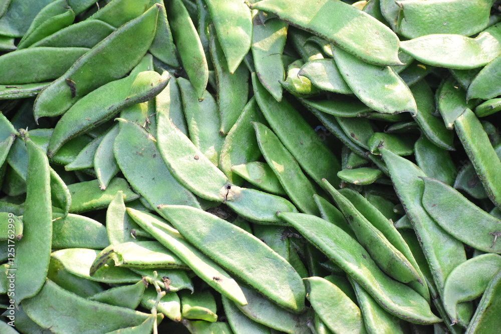 Green flat beans stored for selling in village market. Green flat beans stored for selling in village market.