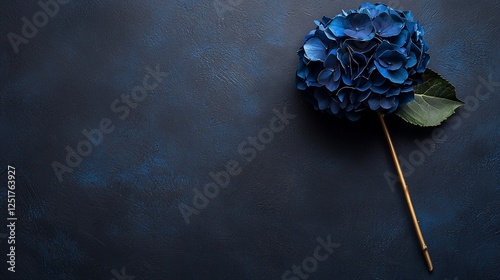 Dark blue hydrangea on textured surface; blank space; invitation design