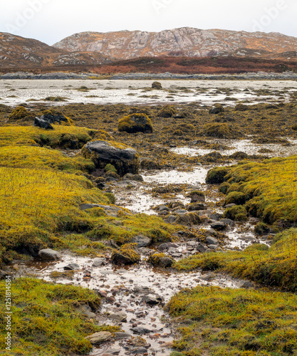Low tide at Badnabay on the shore of Loch Laxford and at the NC500 in north-west Scotland.