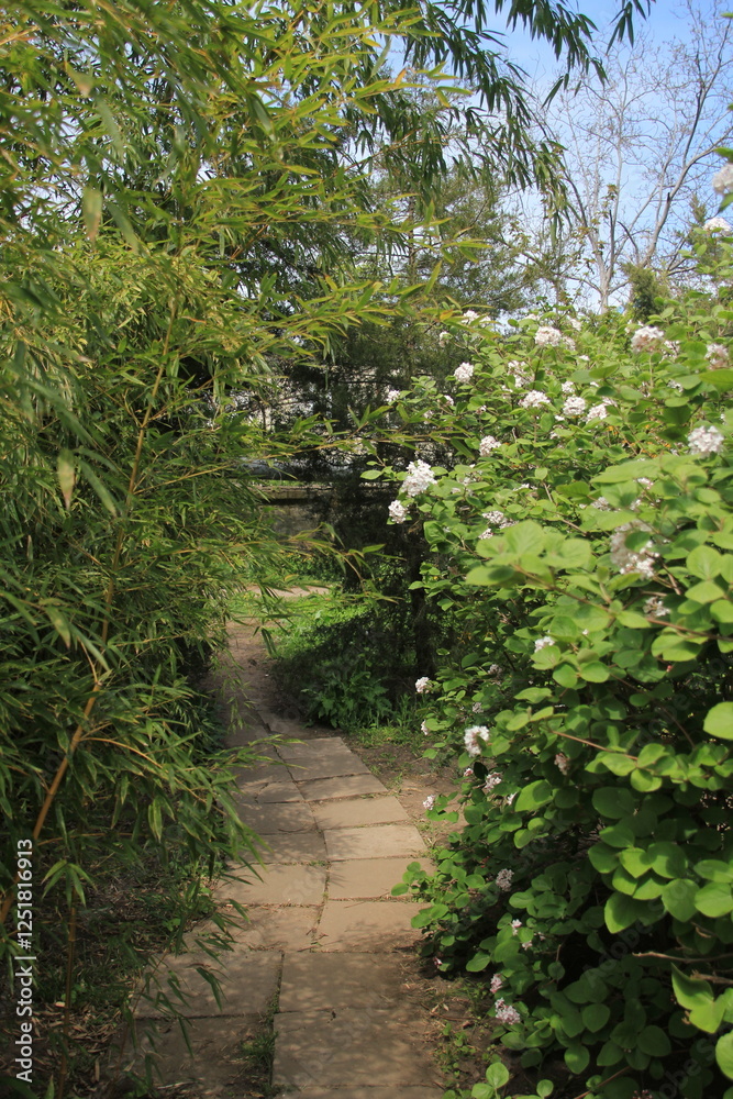 path in the green garden path in the green garden