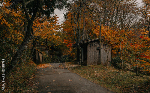 The Nakasendo Trail connecting the post towns of Magome and Tsumago