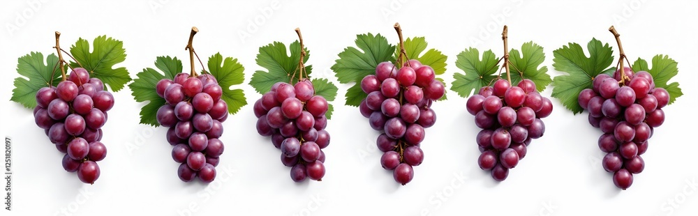 Fototapeta premium Illustration of red grape bunches with green leaves on transparent background. PNG render of grapes row for packaging design, wine label or healthy eating banner, fruit market promo.